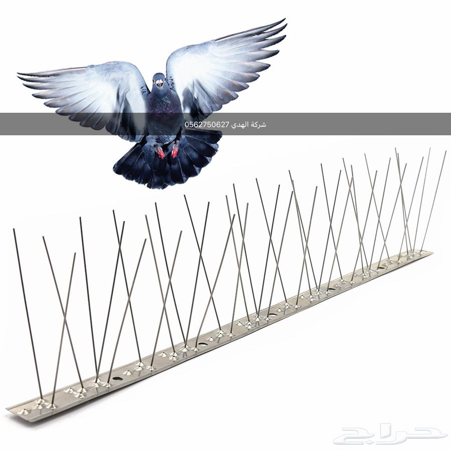 تركيب وبيع أشواك طارد الحمام بالدمام والخبر والظهران.القطيف64474091903361110
