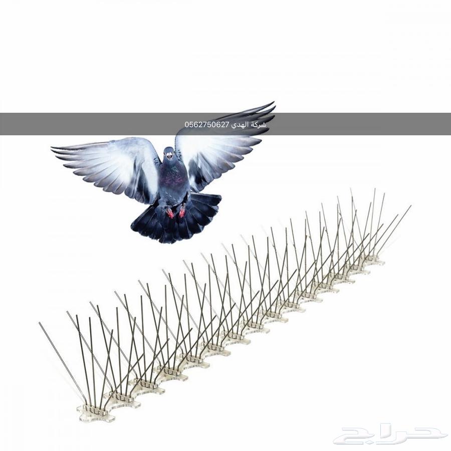 تركيب وبيع أشواك طارد الحمام بالدمام والخبر والظهران.القطيف64474091903361112