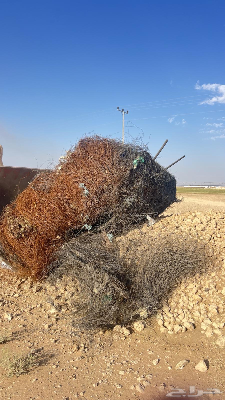 نشتري جميع انواع السيم والحديد السكراب64473387919619110