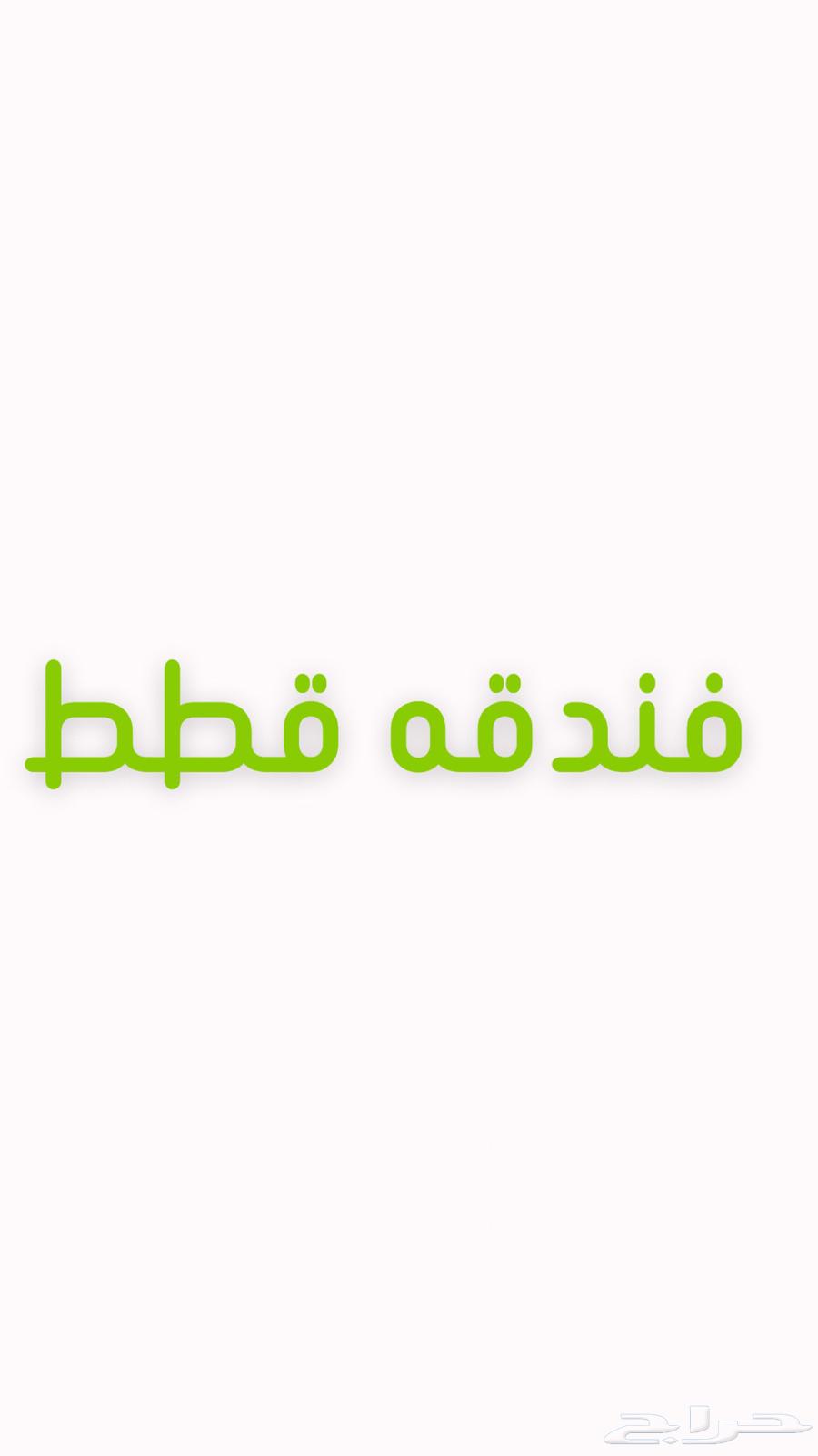 Cat grooming and styling64524726032001110