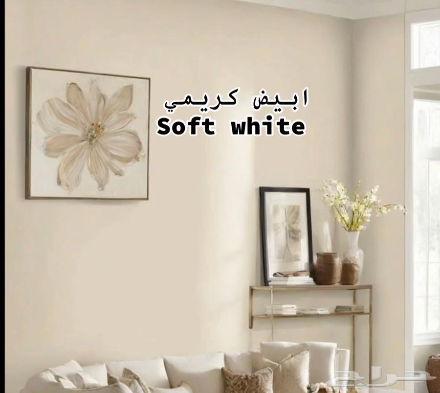 معلم بويه بجده  افضل دهان بجده   افضل محترف دهانات وديكورات64474299121409114