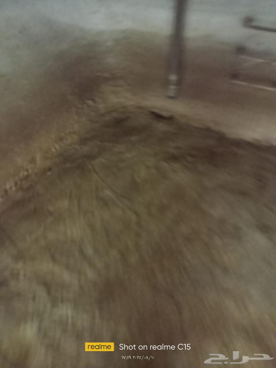 عزل وتنظيف الخزانات الأرضية والعلوية64474360725251113