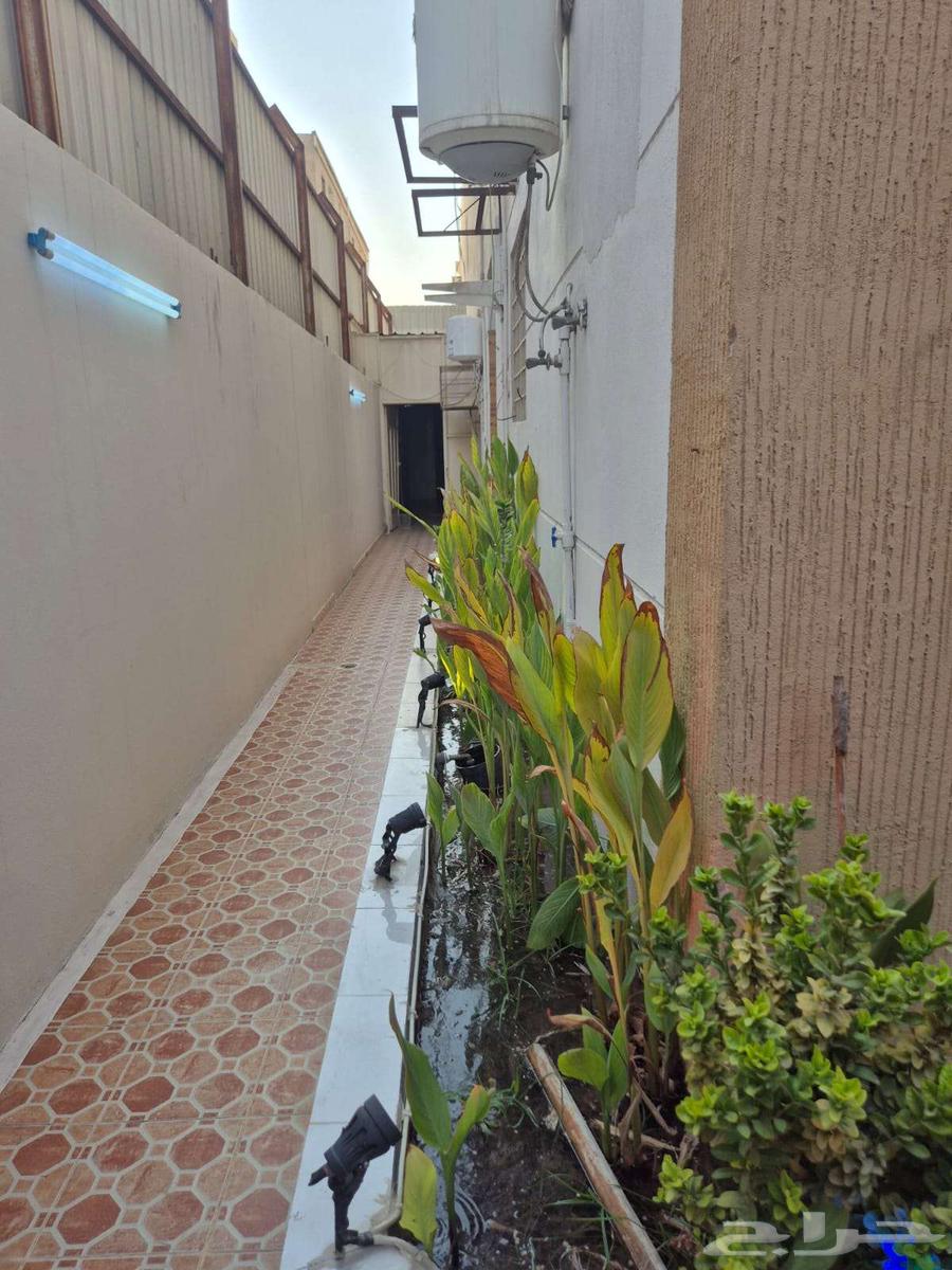 للبيع شقة تمليك ارضية حي احد (الدكاترة)64473820018946113