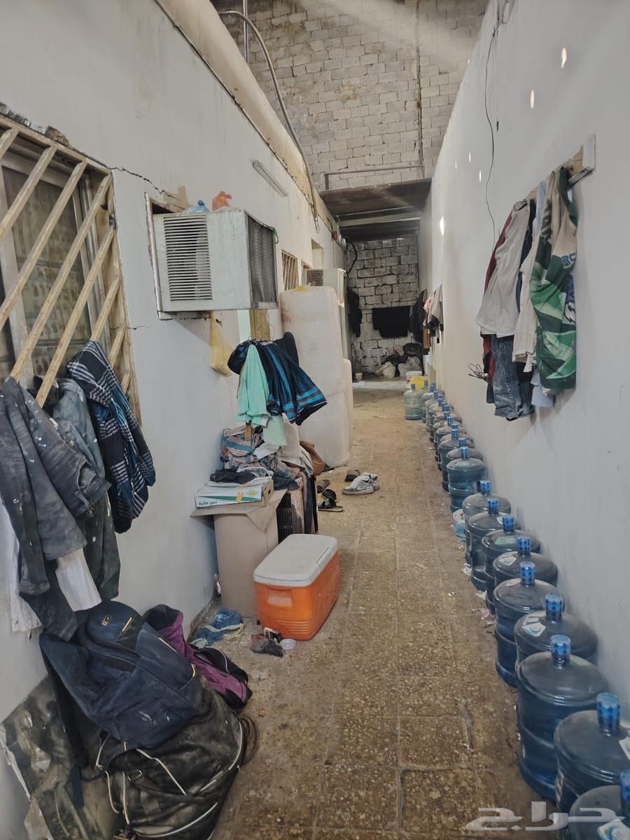 ورشة نجارة للتقبيل صناعية الشفا64473980846595114