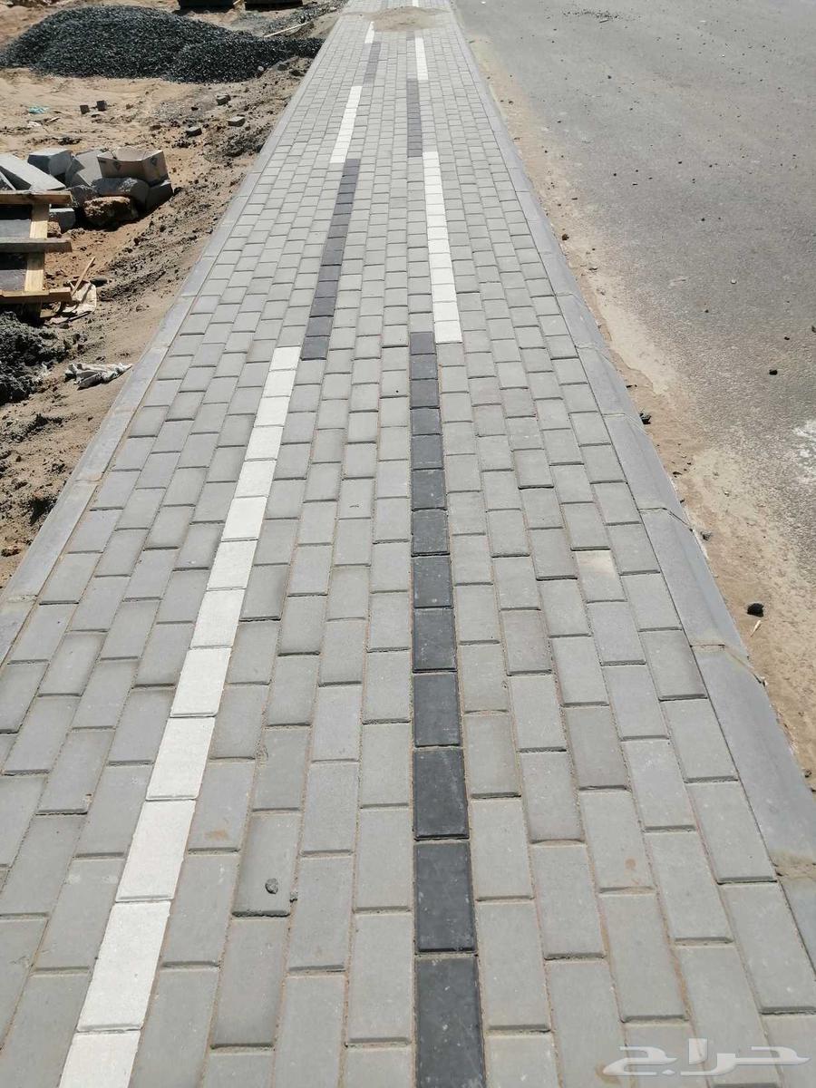 Tile and Interlock Teacher64474313963139114