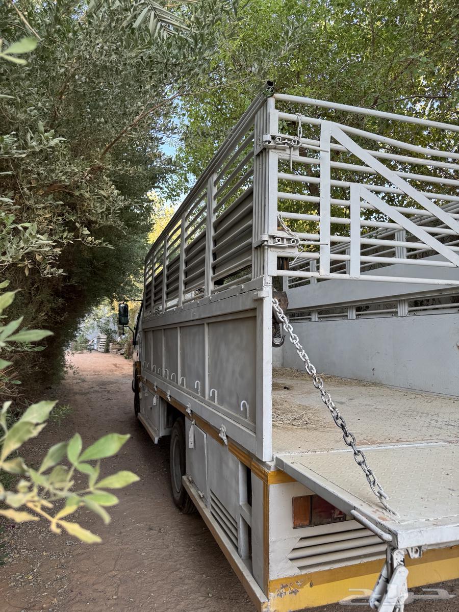 دينا ونش نقل عفش64474154416643111