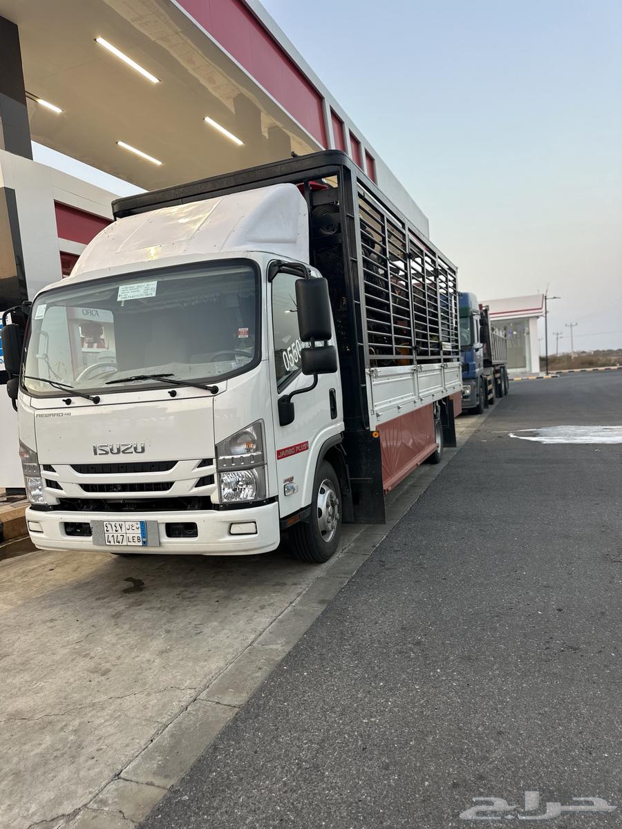 دينا دينه محايل عسير كبير دينه بارق دينه ابها64493586710147110