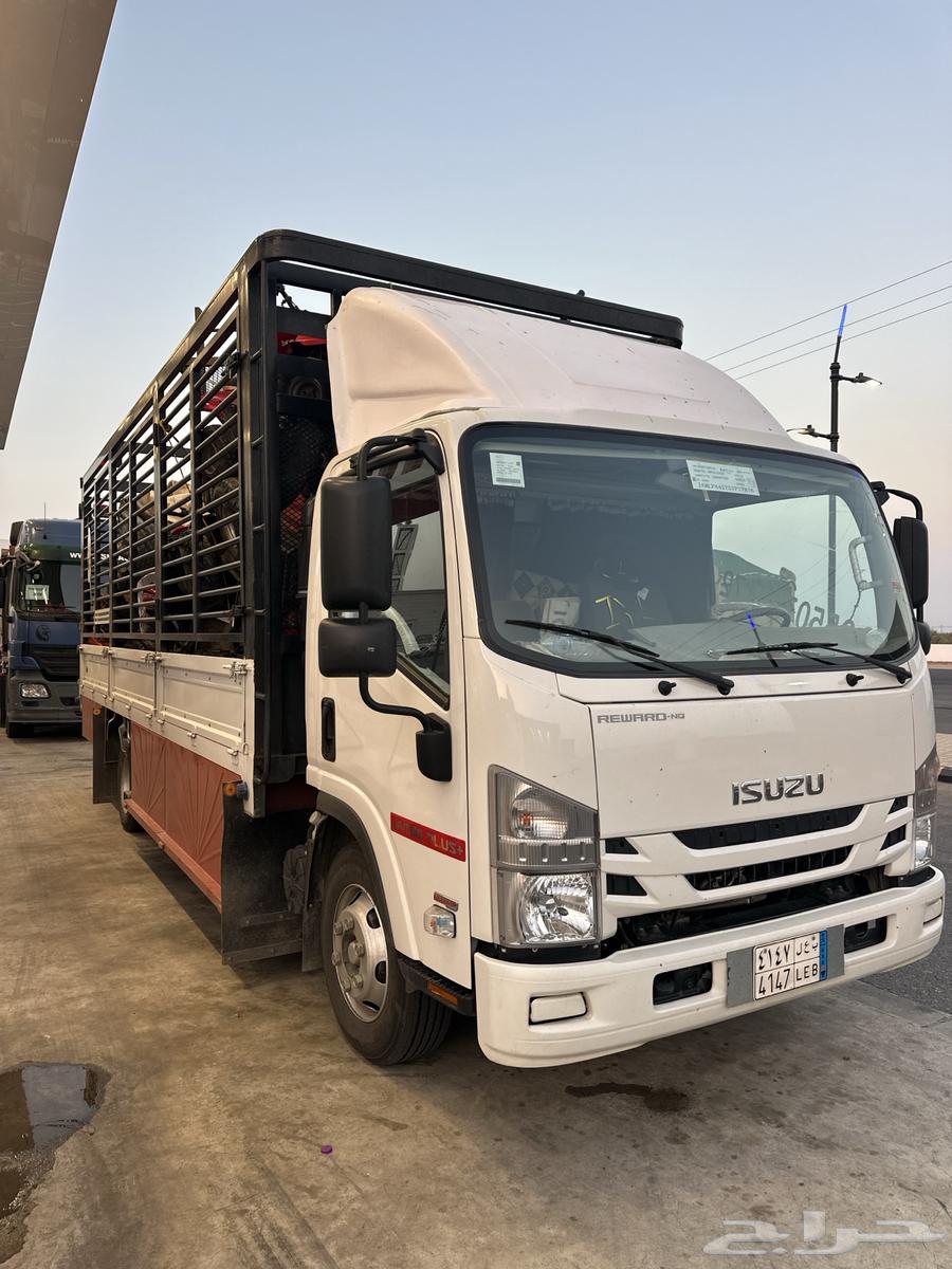 دينا دينه محايل عسير كبير دينه بارق دينه ابها64493586710147111