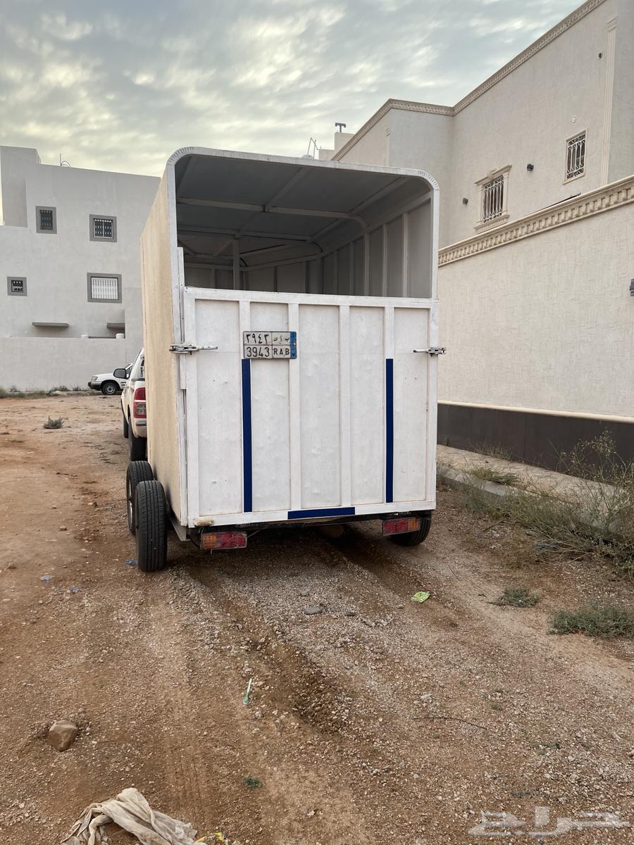 عربة نقل خيل داخل القصيم بأسعار مميزة64481417074689110