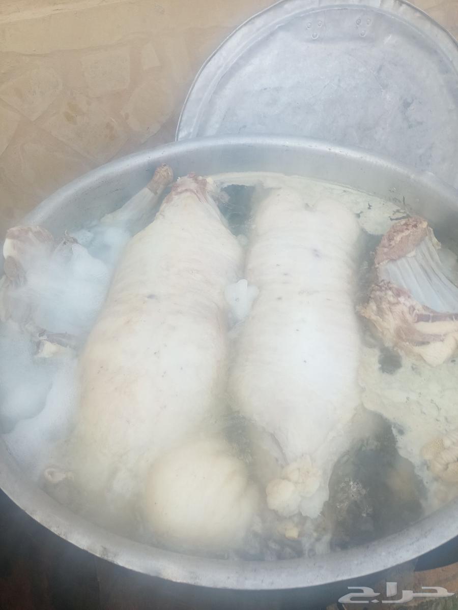 Mobile butcher and chef for all types of traditional cooking, contact us64474330169857114