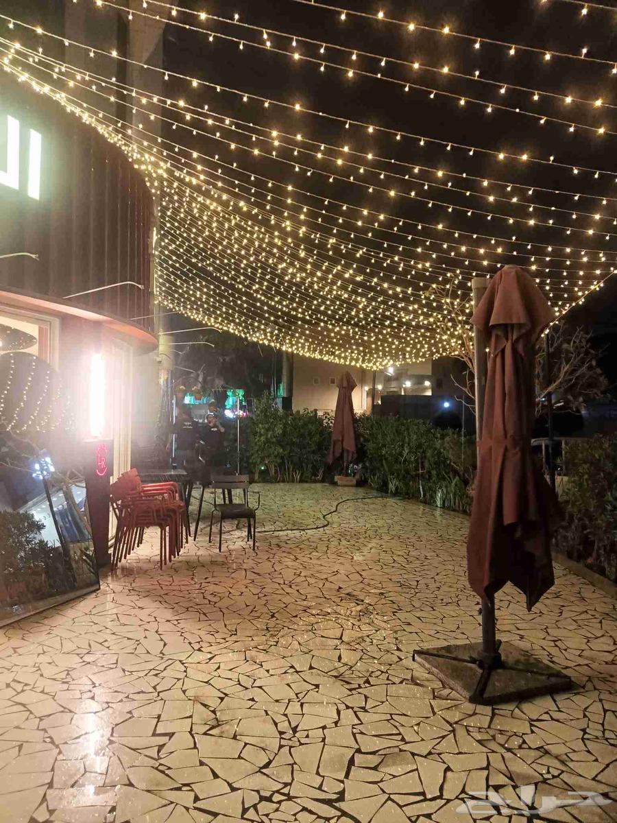 Installation of Cafe Decorative Lights, Decorative Rings for Lighting Fixtures for Cafes and Homes64481386955009113