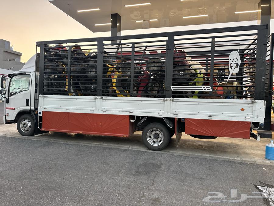 دينا دينه محايل عسير كبير دينه بارق دينه ابها64493586710147114