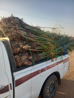 هاذ من تنفيذ أعمالنا لتواصل64474266991619113