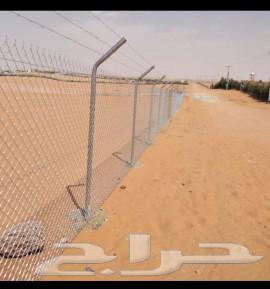 Supply and installation of all types of palm trees and date palms of all kinds Washington64474344790914112