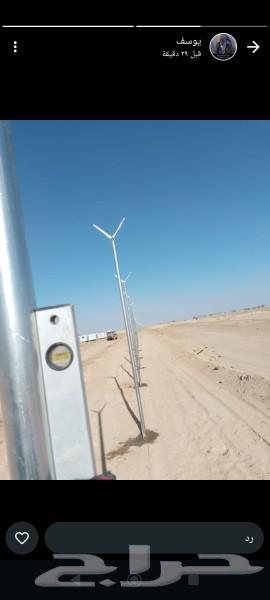 Supply and installation of all types of palm trees and date palms of all kinds Washington64474344790914113