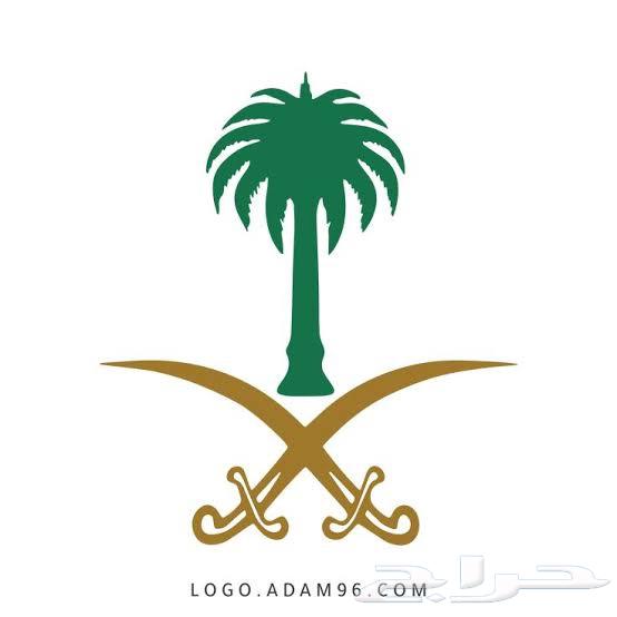 شركة نقل عفش بالمدينة المنورة64593497147777111