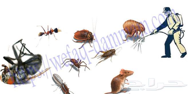 افضل شركه تنظيف منازل سجاد كنب مكيفات خزانات عازل خزانات64474344848001114