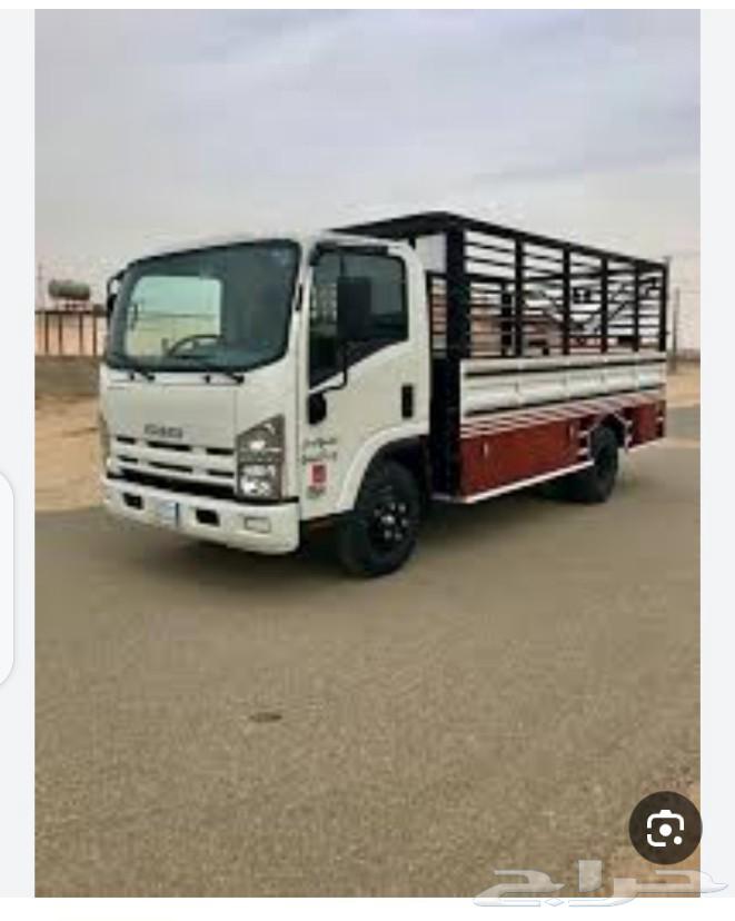 نقل داخل الرياض64513299796611111