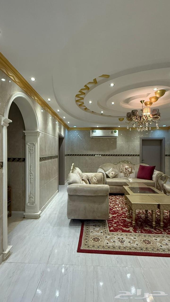 معلم جبس و جبس بورد64474345621123113