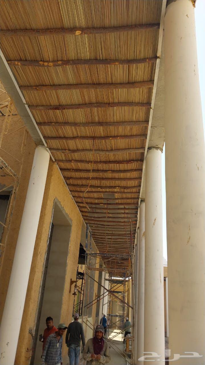 The exit of the harem64474360815361110