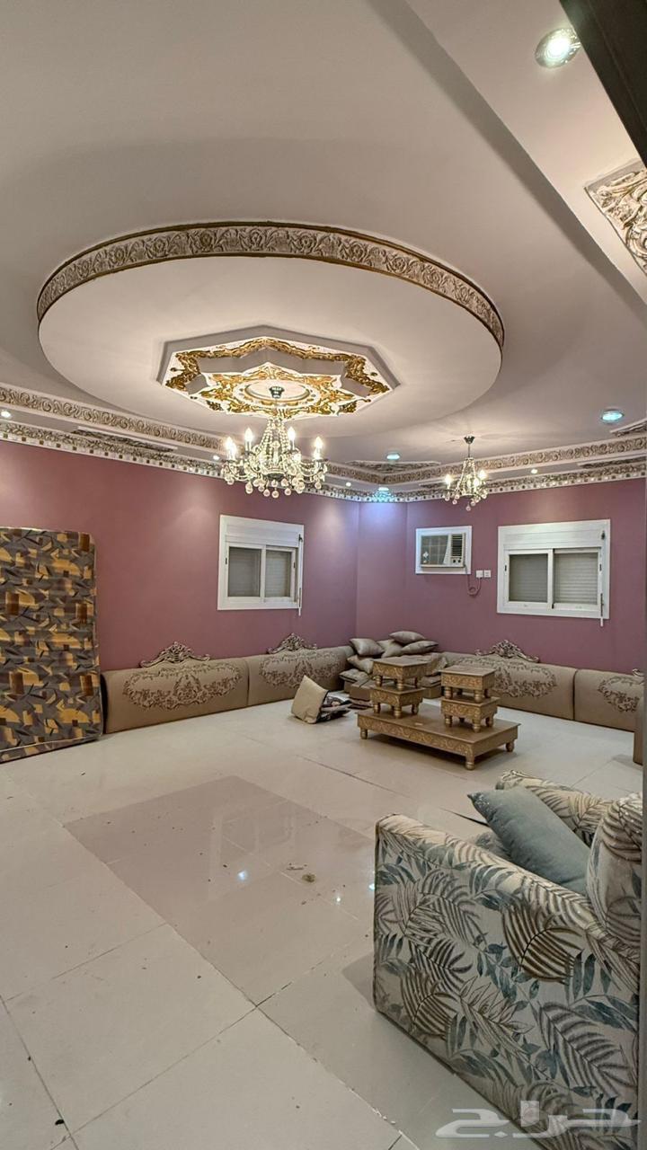 معلم جبس و جبس بورد64474345621123110