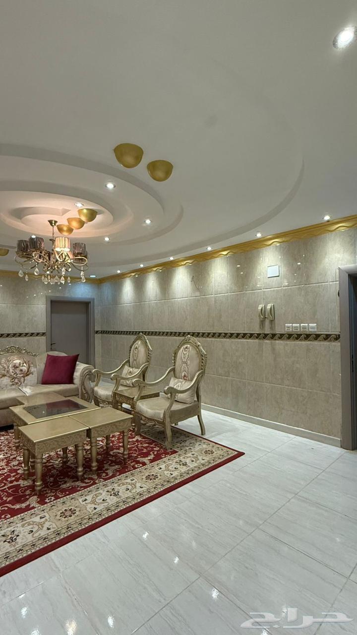 معلم جبس و جبس بورد64474345621123112