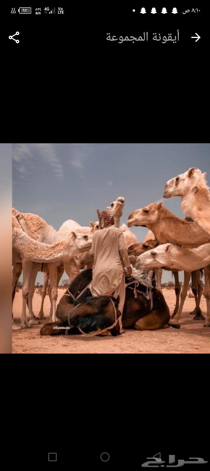 مطلوب ماطور رش للحلال64474138105729110