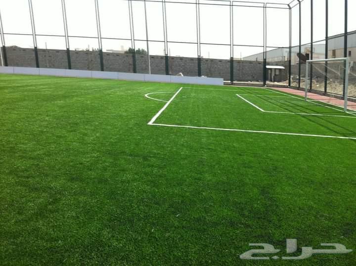 العشب المثالي والمطاط بالمنطقة الشرقية بالدمام64474235522433111