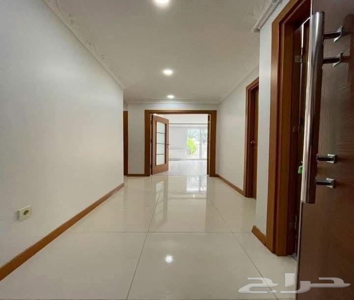 جلي بلاط64474314476674112