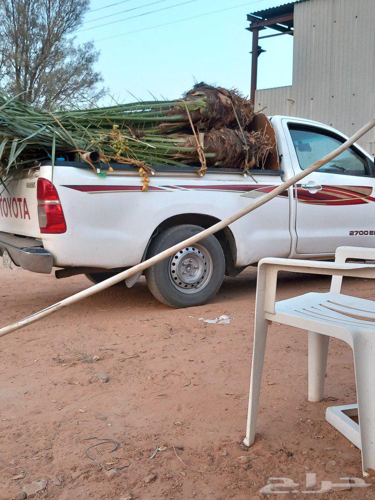 هاذ من تنفيذ أعمالنا لتواصل64474266991619112