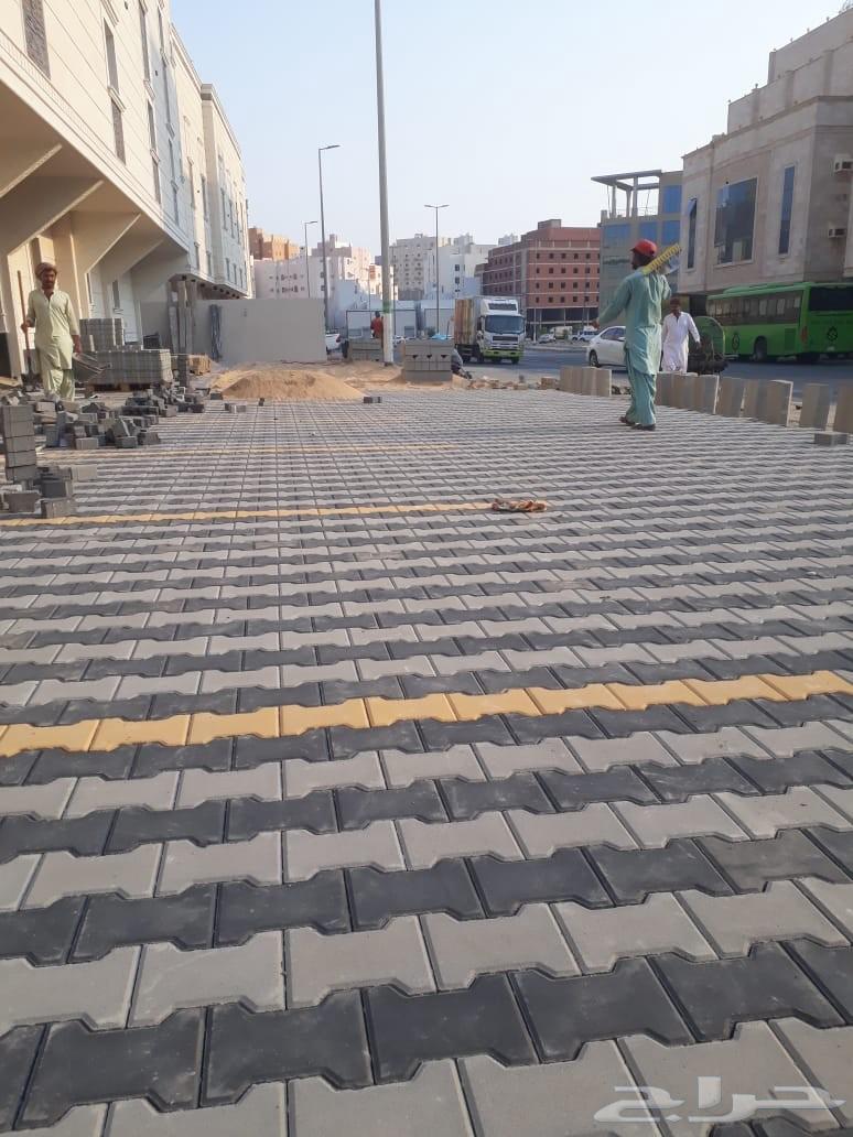 معلم بلاط64474328860033114