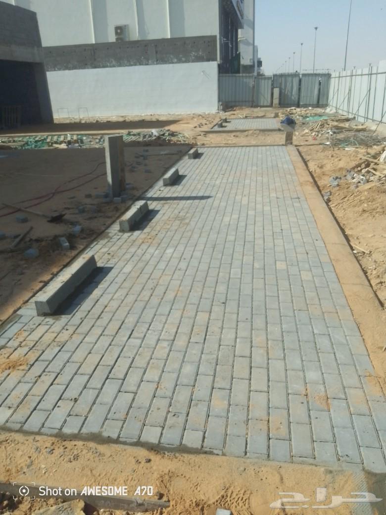 Ahmad Abu Shafa, tiler and interlock installer, engineer delivery64474298186755114