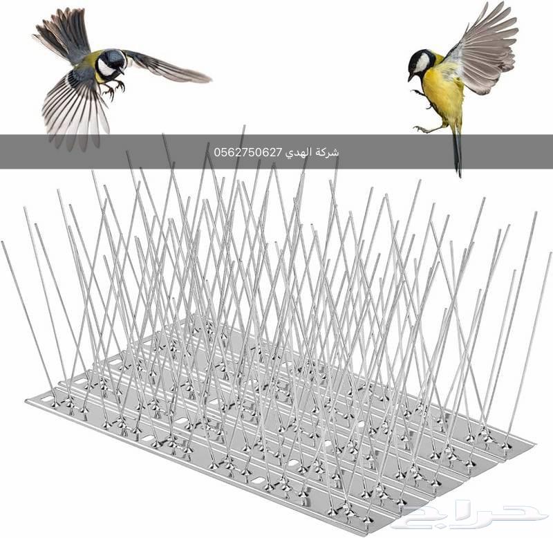 تركيب وبيع أشواك طارد الحمام بالدمام والخبر والظهران.القطيف64474091903361111