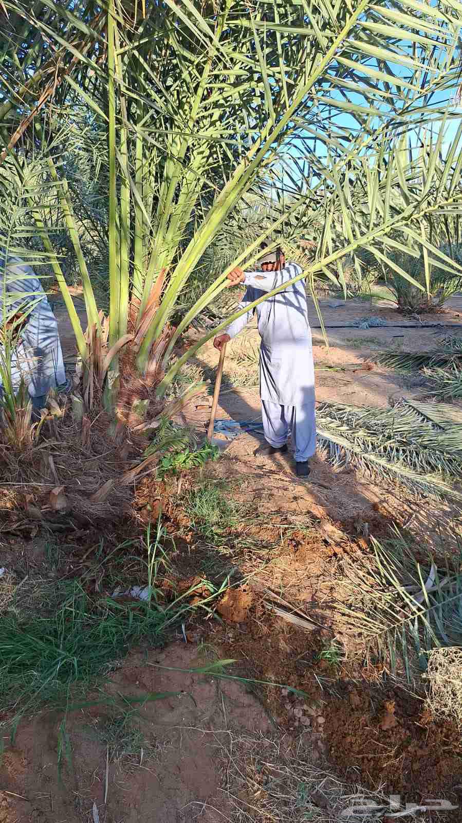 ابها جيزان نجران64524753490050111