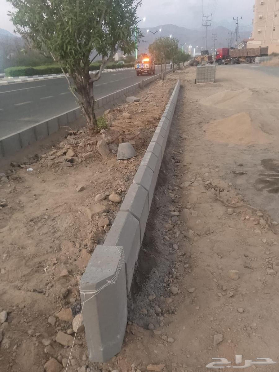 Tile and Interlock Teacher64474313963139110