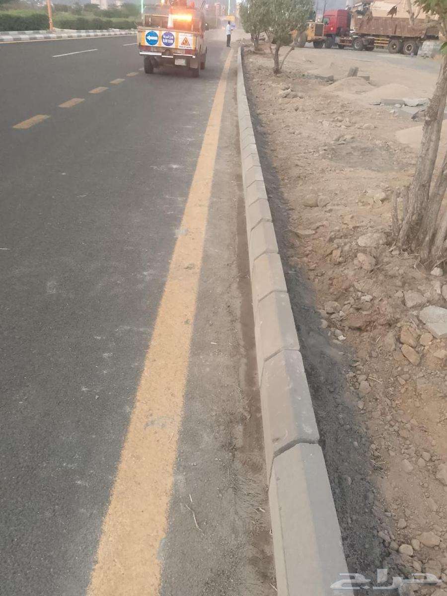 Tile and Interlock Teacher64474313963139113