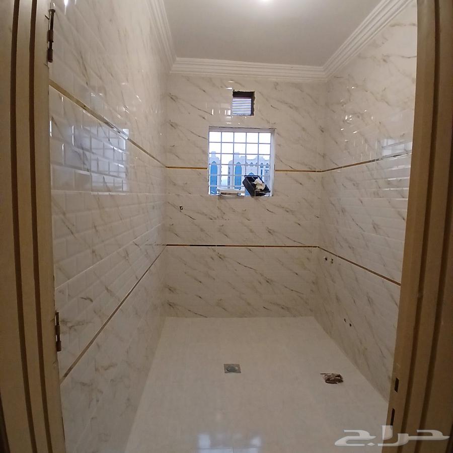 معلم بلاط64474328860033112