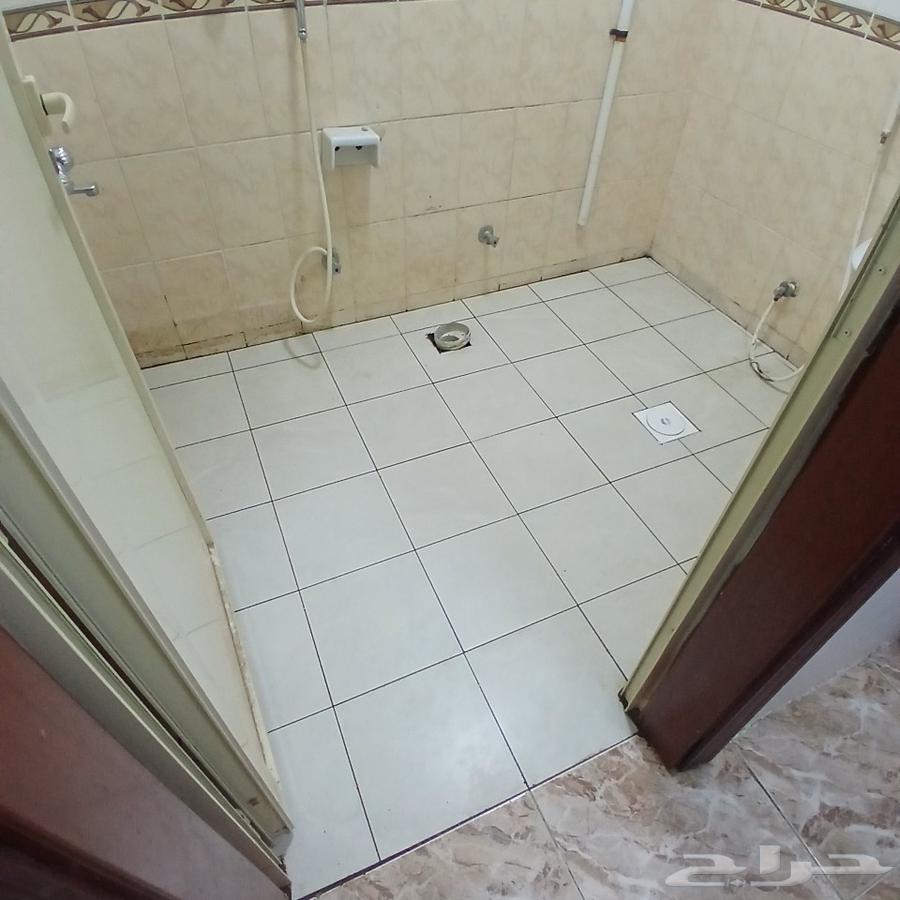 معلم بلاط64474328860033113