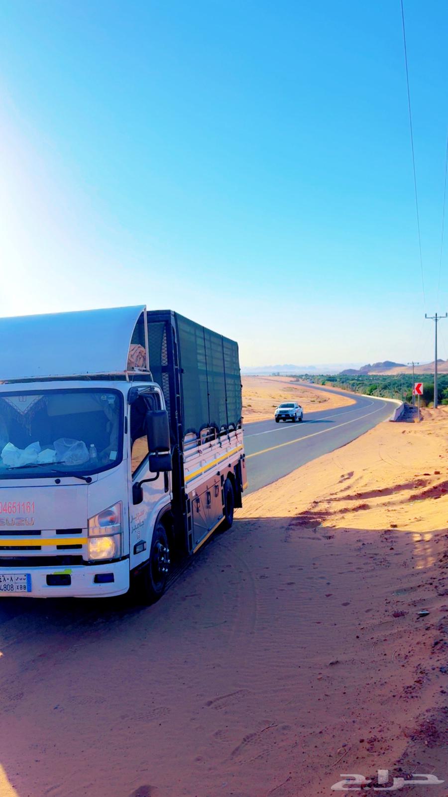 دينا نقل عفش واثاث وبضايع تجاريه من جيزان اللي جده والرياض64487199652866111