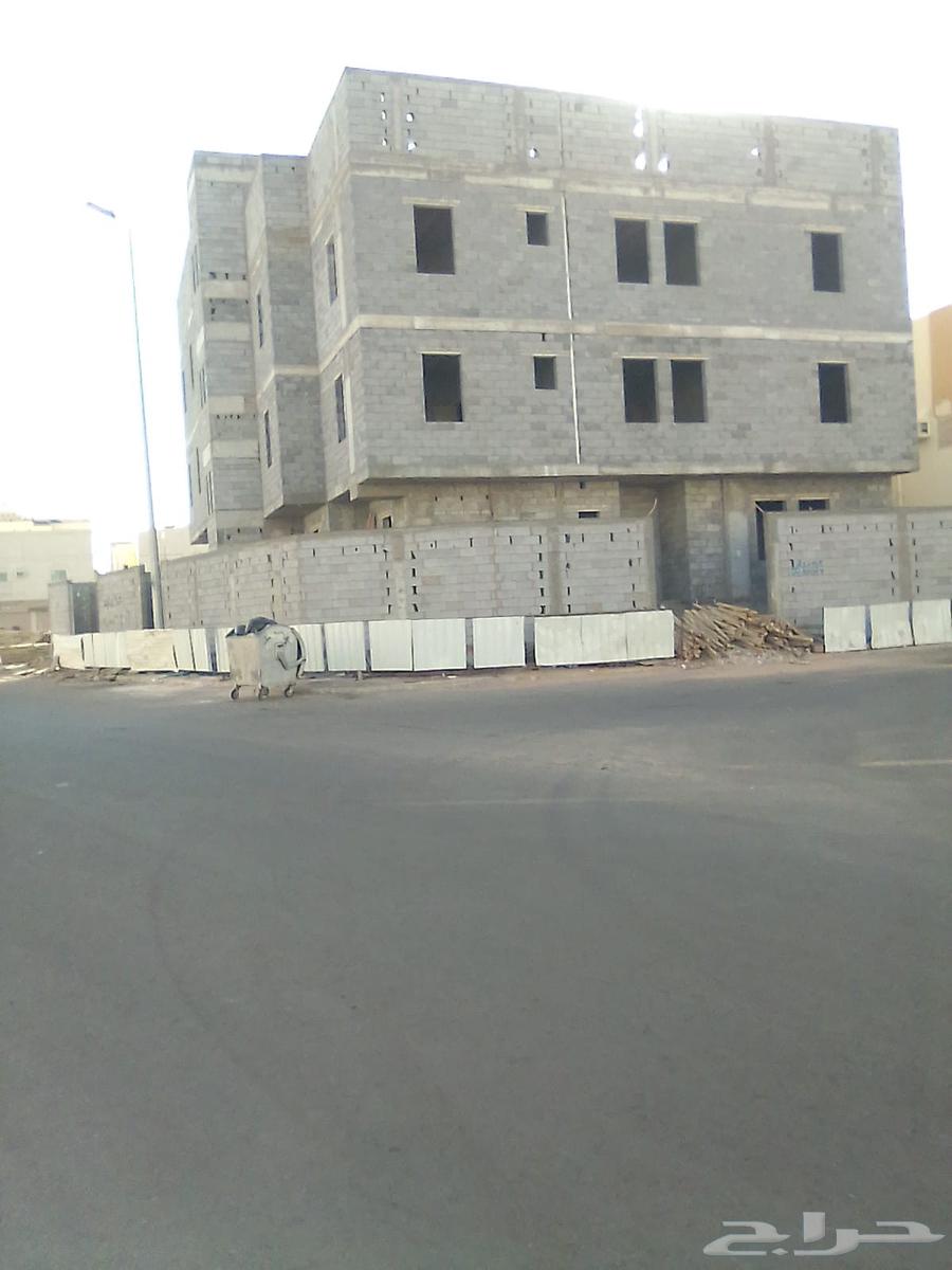 معلم بناء بلك شغل على الشرط64481432834179114