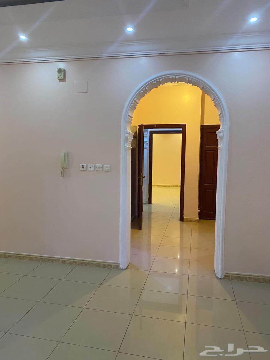 شقة للإيجار