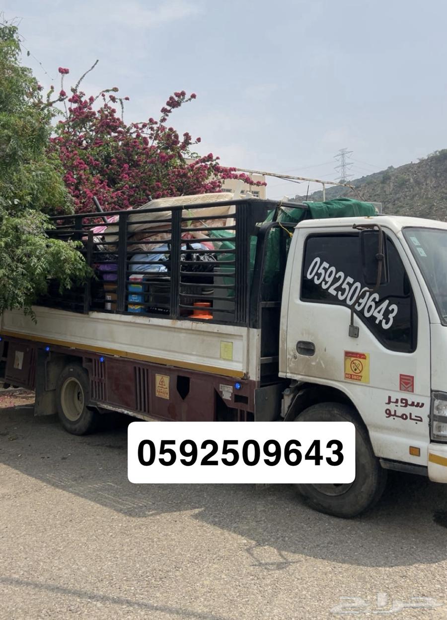 دينا دينة جيزان صبيا العيدابي العارضة الداير64487199441027110