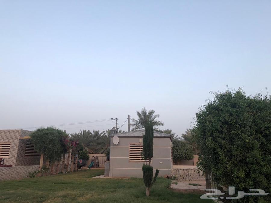 للبيع مزرعة عيون الجواء ( المليدا الشماليه)64481401069185110