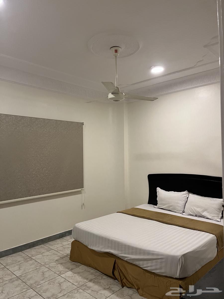 شقق مفروشه ايجار بالشهر او الاسبوع64506297773827111