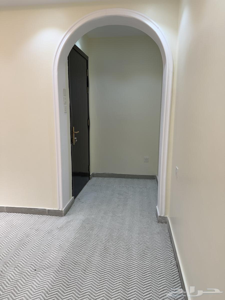 غرفة للإيجار الشهري في حمراء الاسد64481416803713111