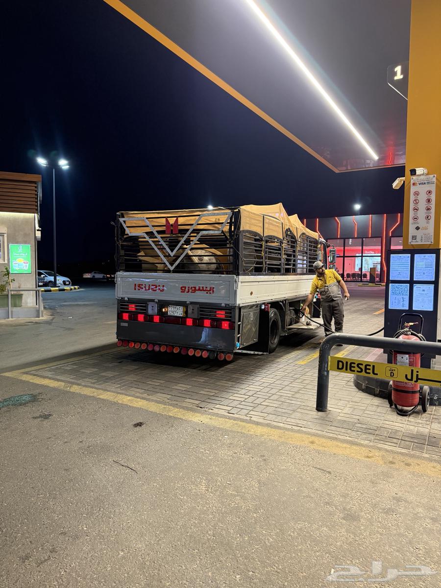 دينه الطايف الرياض64493600614146110