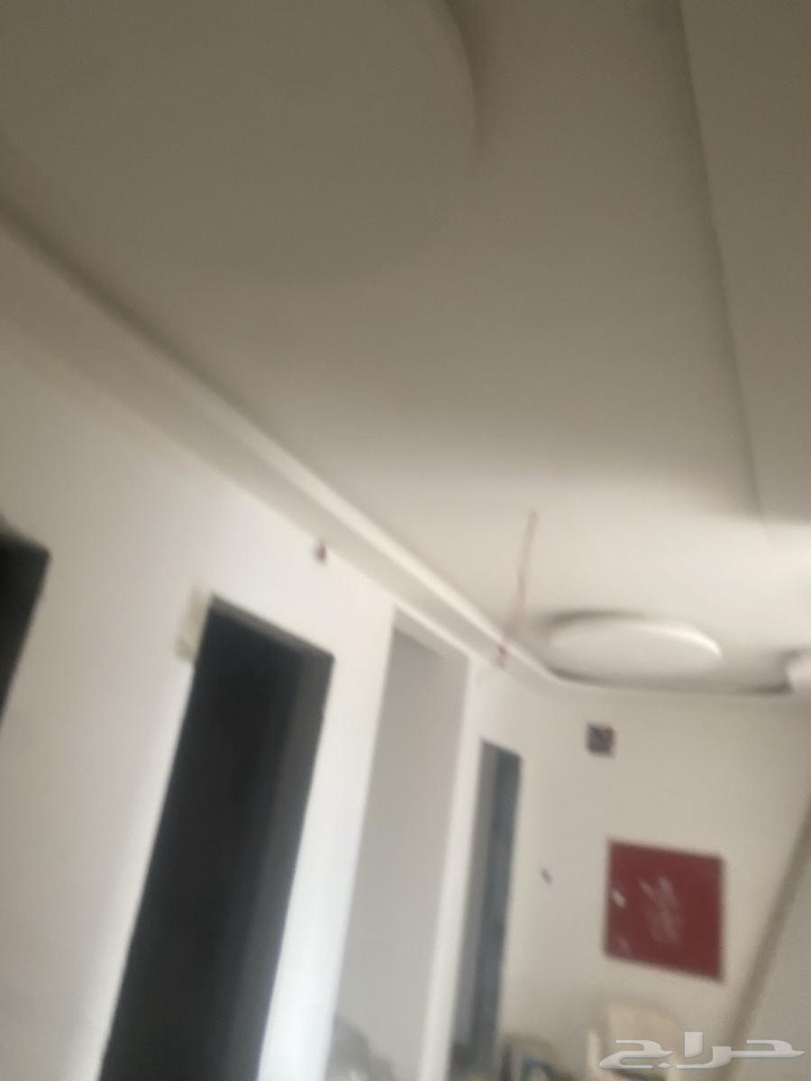 باكستاني جبس معلم ديكور جبس امبورد ساده جبس سميت بورد64487037970818112