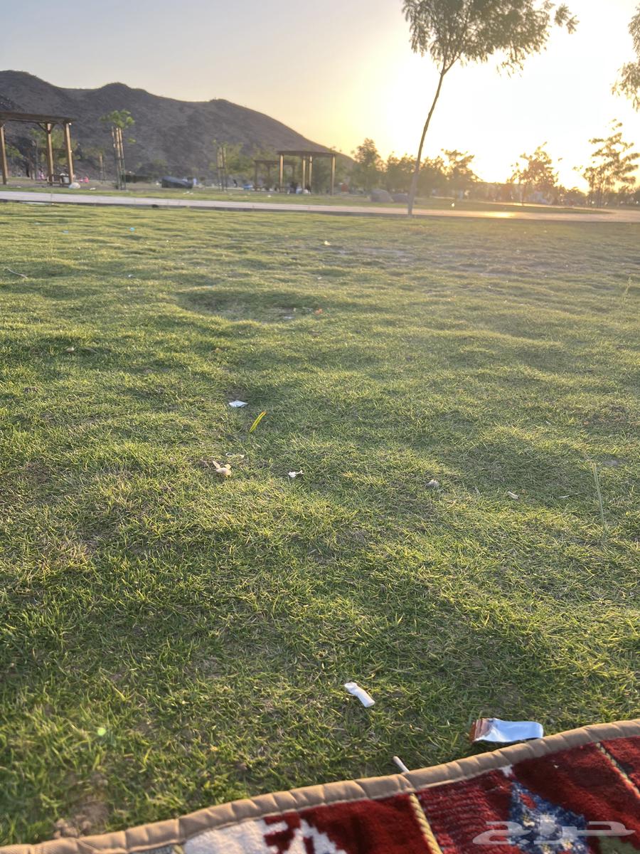 مطلوب شقة للايجار بالحناكية64487054011779110