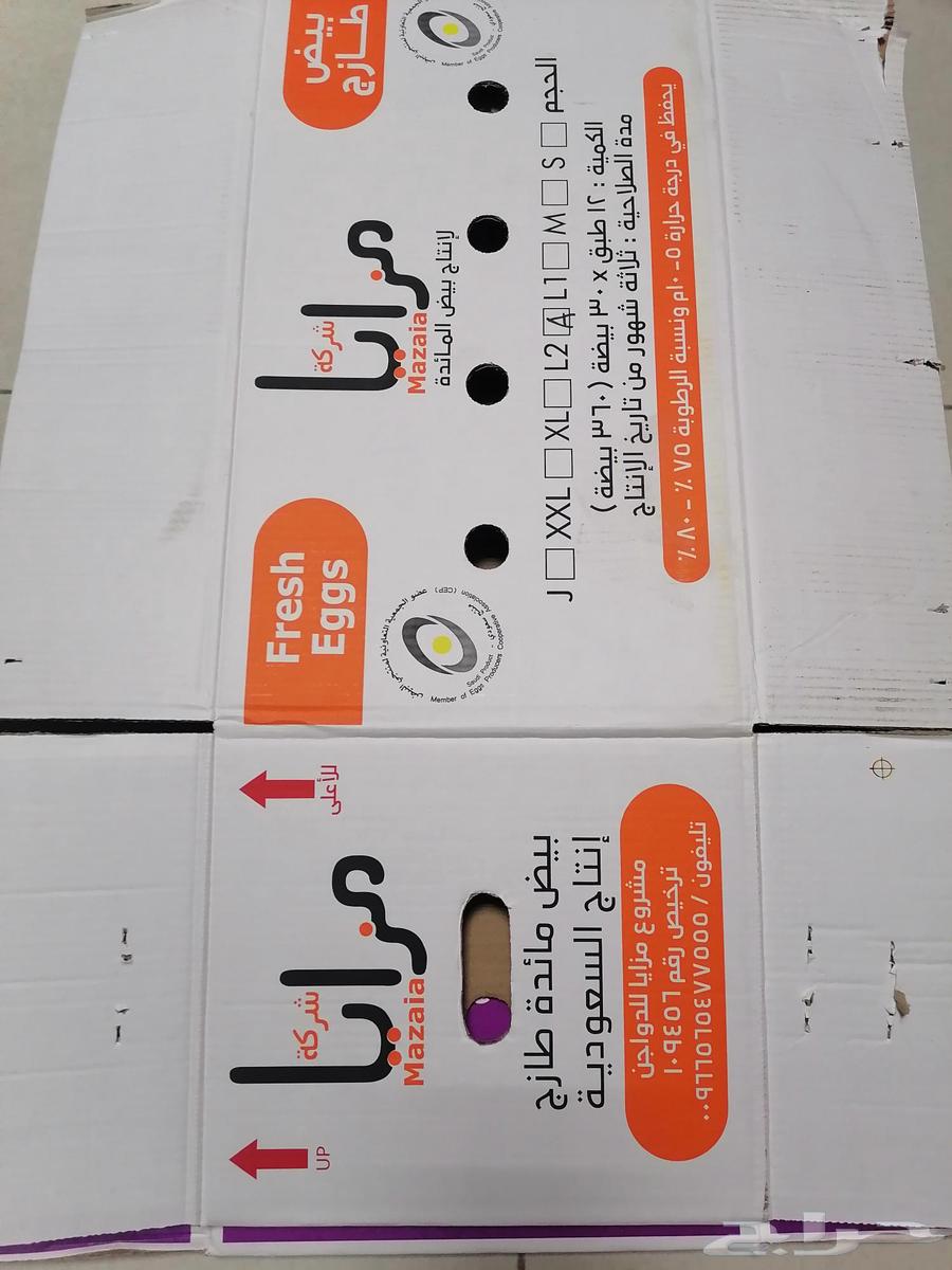 كرتون بيض نظيف لنقل العفش الحبه ريالين ونص64487021599747111