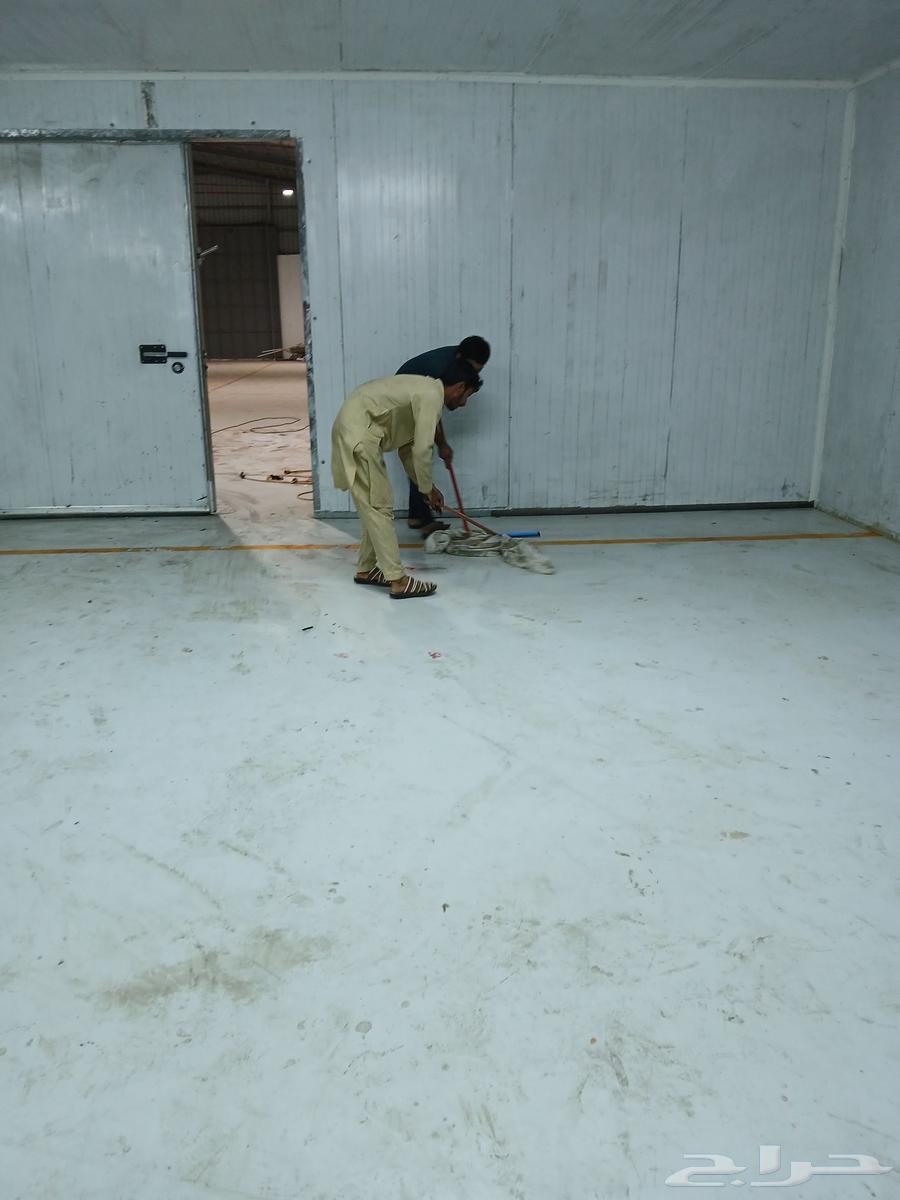 توريد وتركيب وصيانه ثلاجه العرض وغرف التجميد وتبريد64487247828227113